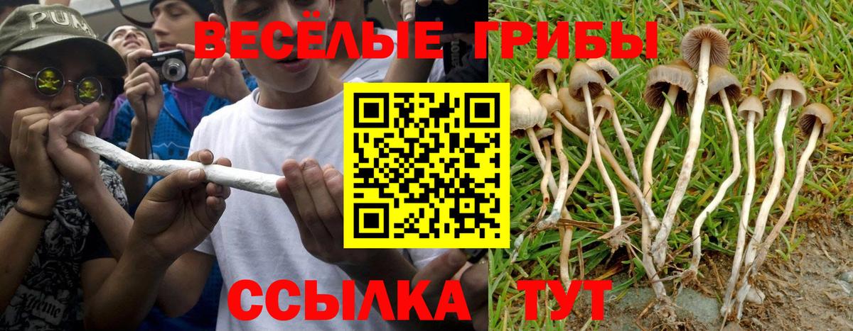 Псилоцибиновые грибы GOLDEN TEACHER Орехово-Зуево